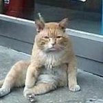 오늘 개학했는데 온라인<b>수업</b>