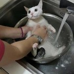 [댓글부탁해] 맞춤법 <b>퀴즈</b>내바 내가 다 맞혀볼겡