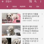 강아지 길에서 유기구조한척 조작영상찍고 선동해서 <b>후원</b>받고있는 유튜버