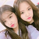 정은지 <b>intp</b> 손나은 intj