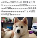 [드루와] 얘드라 숨겨진 띵곡 추천좀 ㅈㅂ