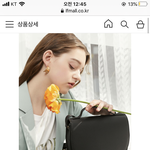 [댓글부탁해] 이 가방 살말 해줘