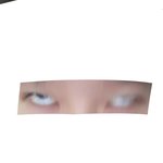 눈평가좀 객관적으로<b>다가</b>
