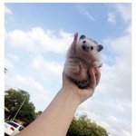 ㅈㅂ <b>팝송</b>제목좀 찾아줘