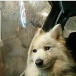 [방탄소년단] 머글)  와씨 <b>born</b> singer 뭐냐고 이삐들...