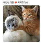 요즘 비행기소리 안들리는거같지않냐