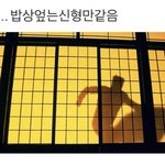 얘들아 나 취향 <b>분석</b> 좀