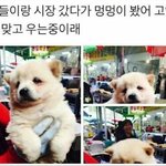 스<b>엠상</b>이 정확히 어떤 얼굴일까?