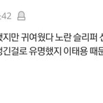 <b>NCT</b> 태용 동창들 과거 글 모음