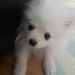 울와기 넘<b>귀</b><b>욥</b>징~~^^