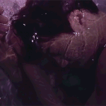 [EXO] 인어<b>왕</b><b>쟈</b>