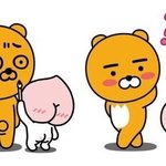 [조언부탁해] 나 <b>비데</b> 없이는 큰 거 못 싸는데 내가 잘못 된 거야...