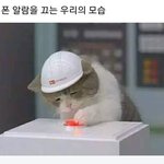 마라탕 사진 올려봥