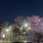 향기 오래 가는 <b>샴푸</b> 머 잇음?