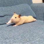 나 판녀들이 너무 좋아졌어