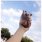 [19] 남자 빛삭<b>올림</b>