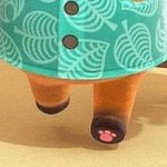 <b>동숲</b> 콩밤돌 있잖아