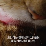 [댓글부탁해] 중3때 했어야한다고 <b>후회</b>하는게 뭐야??