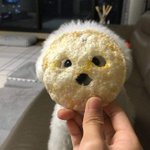 [댓글부탁해] 얘<b>도라</b> 빨리 개념의 나비효과