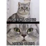 [드루와] 넷플릭스 하이틴들 왤케 재미없냐.....