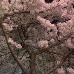 [댓글부탁해] <b>양자</b>택일 들어와봐