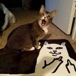 아 얘들아 나 고민좀 ㅠㅠ