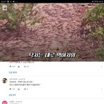 야 근데 ㄹㅇ 이거 울나라 날아오면 어캄