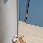 [댓글부탁해] 나 학원 보조쌤이랑 약간 썸아닌 썸탔었어