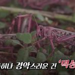 야 <b>큰일</b>났어