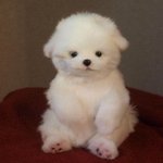[19] 젖소못본사람빨리봐<b>빛삭</b>한다