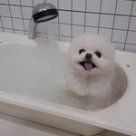 [19] 판녀ㅈ탱 <b>빛삭</b>