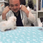 [19] <b>순수</b>한 짤