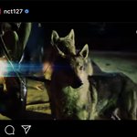 [NCT] 와 세계관 개소름