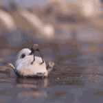 [드루와] <b>ENFP</b>인뎅 질문바다~!~!~!~!~!~!