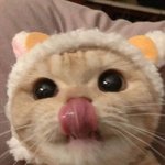[19] <b>기습</b> 공격!!!!