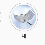 이거 보고 느낀 점 말하면 ㅇㅈ