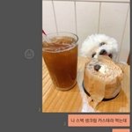 [조언부탁해] 나 <b>1</b>일<b>1</b>식하는데