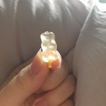 [이것좀봐줘] 하리보에 <b>꼬리</b>달린 신제품 나옴
