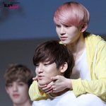 [드루와] 아니 프엑 본애들있냐 개웃<b>겨</b>ㅠㅠ