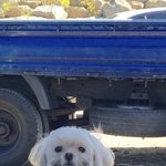 진짜 존1나 <b>나태</b>하네 나 씨/2바ㅠㅠ