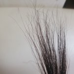 [댓글부탁해] ㅈㅂ 제발 애드라 이거 머리 <b>상한</b>거야 탄거야?ㅠㅜ