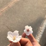 [댓글부탁해] 사진 카톡 프사로 해놨는데 <b>왕따</b>같대