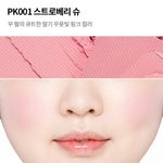 [추반] 블러셔 추반좀