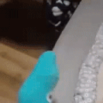 [댓글부탁해] 뷰티 엔12<b>젤</b> 포인트 어케 받는지 아는 판녀있<b>닝</b>..?