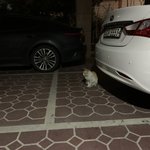 [드루와] 연혁 드라마화 소문은 어디서 <b>돌기</b> 시작한거임?