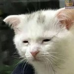 [<b>19</b>] 난 내 고등학교 생활이 <b>썰</b> 같은 줄 알았어.