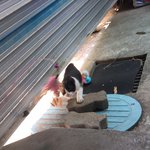 [이것좀봐줘] 소심한 우리 고양이