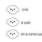 야 얘더라 제발 들어와서 추반 좀