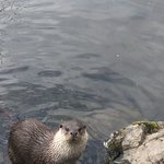 [NCT] 나 김정우 실물 보고싶어서