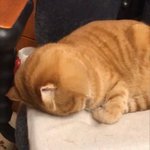 [댓글부탁해] 너넨 <b>니</b>네<b>방</b> 있어??